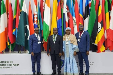 WhatsApp Image 2025-11-25 at 16.11.30